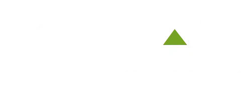 Bespoke digital media